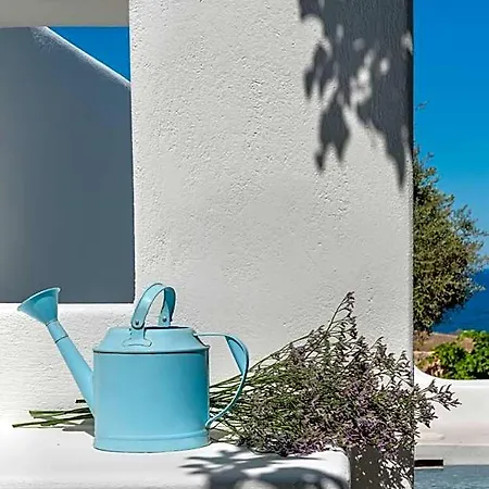 호텔 Anema Boutique & Santorini 이메로비글리
